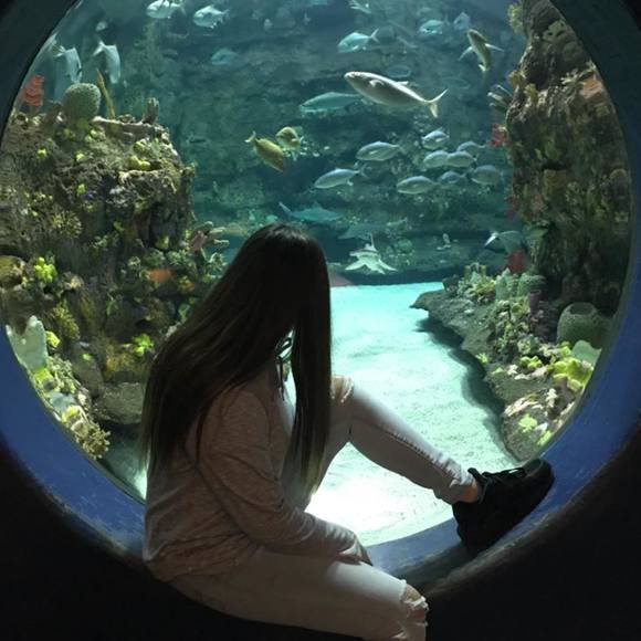 Meet your Posher, Erika - Picture 1 of 1